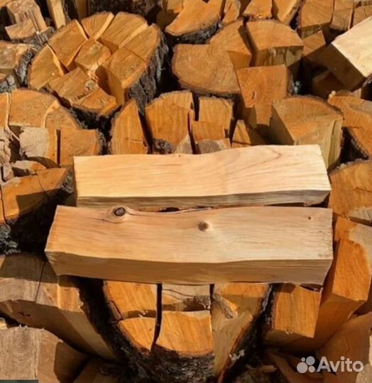 Дрова береза
