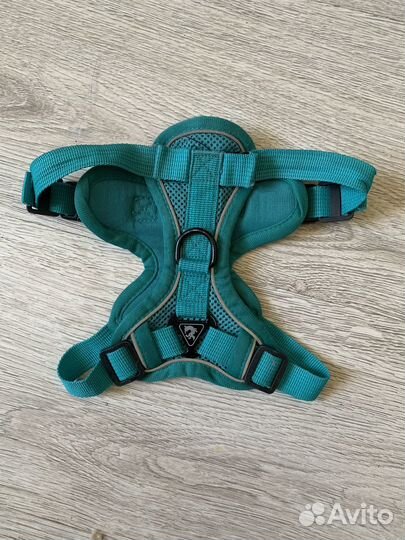 Ошейник для собак