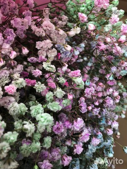 Гипсофила цветы с достакой