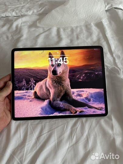 iPad pro 12.9 2021 2tb wi-fi cellular