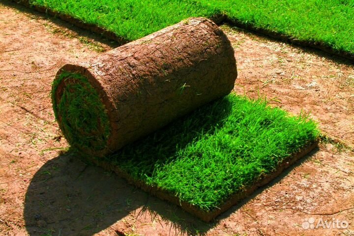 Укладка рулонного газона под ключ