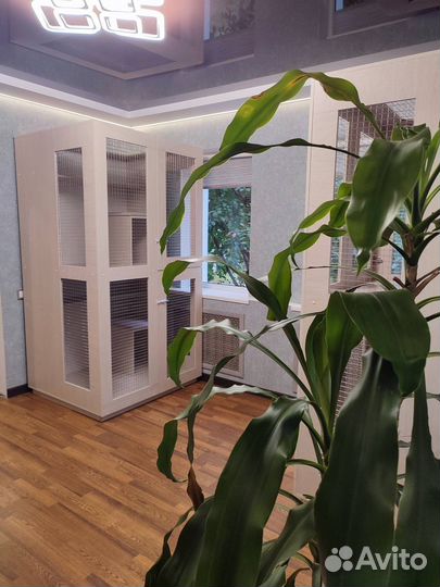 Гостиница для кошек Передержка кошек