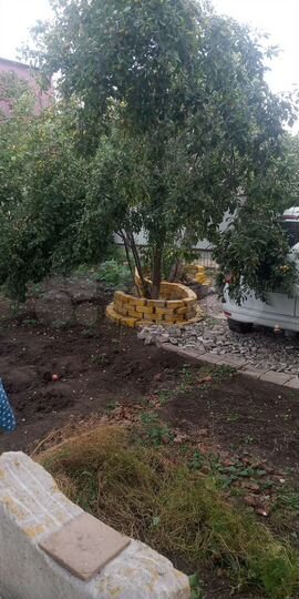 Дача 60 м² на участке 4,3 сот.