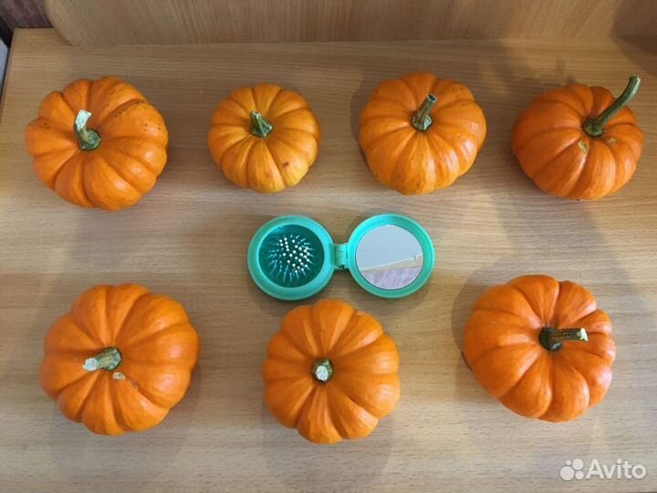 Декоративные тыковки Бэби бу оранжевые