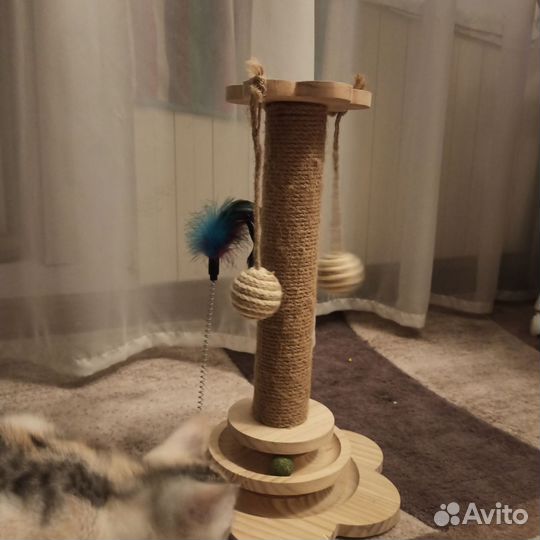 Игрушки для котят