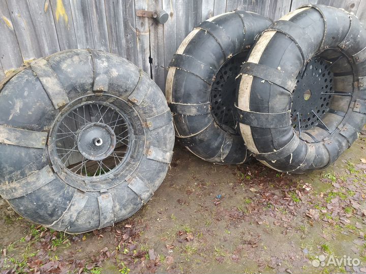 Каракат болотохот кишкотряс