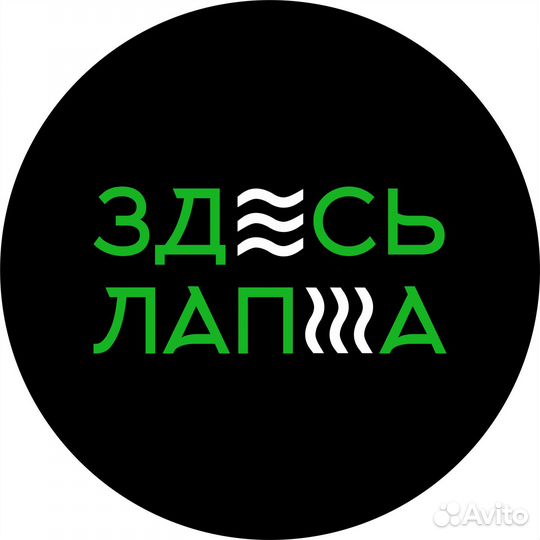 Курьер Апатиты