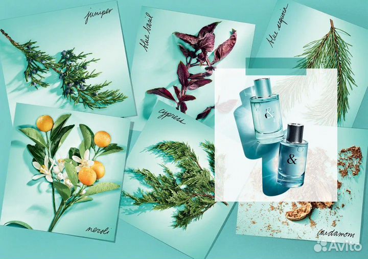 Парфюмерная вода tiffany tiffany & CO love распив