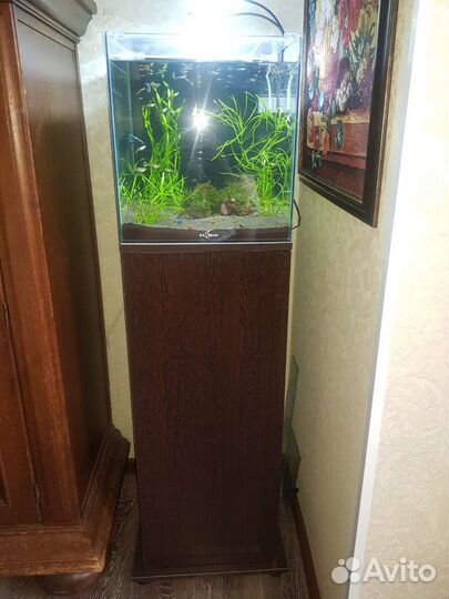 Аквариум с тумбой 50 литров