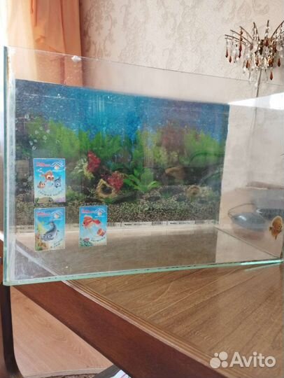 Аквариум