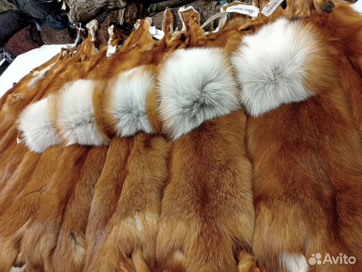 Шкурки лисы-огневки