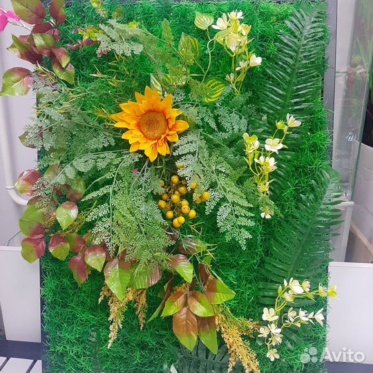 Фитокартина из декоративных растений