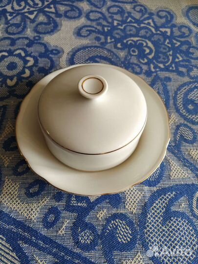 Маслёнка белая