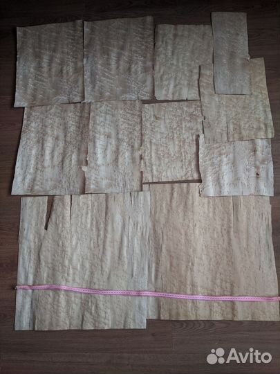 Шпон натуральный клён Птичий глаз