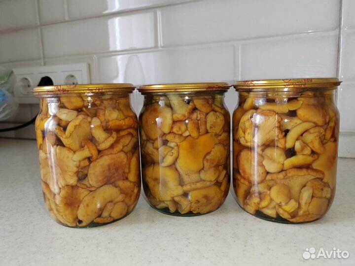 Грибы лисички