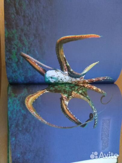 Энциклопедия живой природы