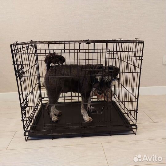 Клетка для собак в аренду