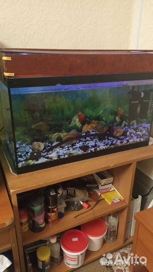 Аквариум