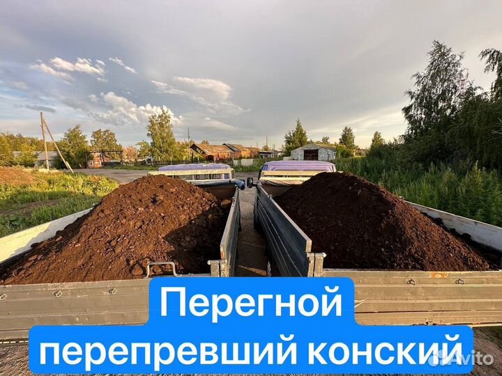 Перегной/чернозем