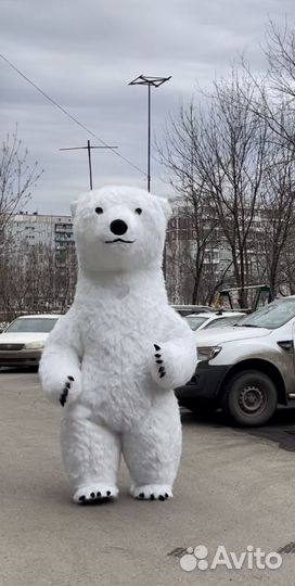 Белый мишка и его друзья с поздравлением