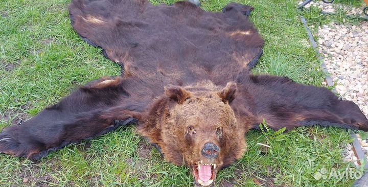Шкура медведя имитация
