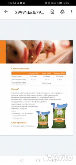 Комбикорм для птицы 