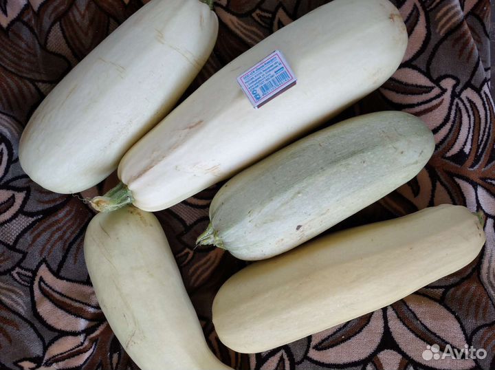 Огурцы и кабачки