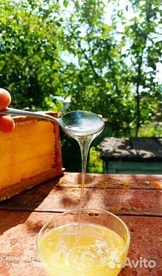 Мед цветочный