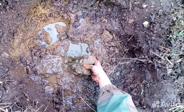 Металлоискатель Teknetics Omega 10