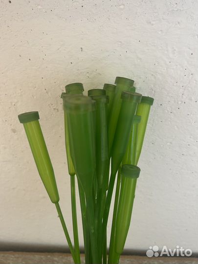 Капсула для цветов