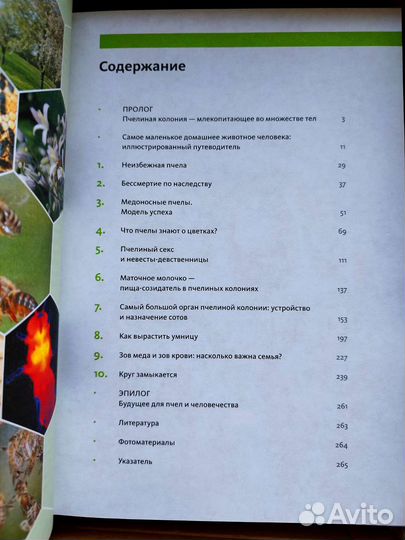 Феномен медоносной пчела (биология, зоология)