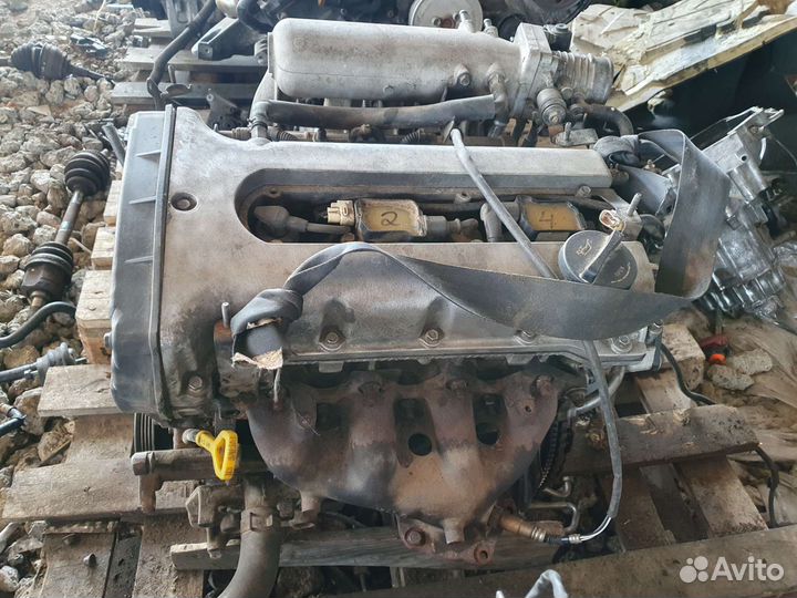 Двигатель T8 Kia Carens V-1.8