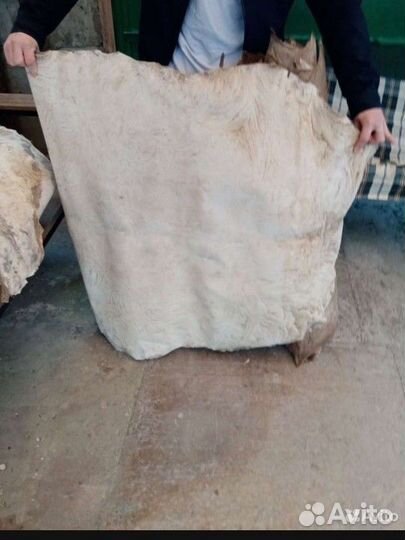 Кожа козы для бубнов