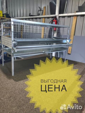 Клетки для перепелов