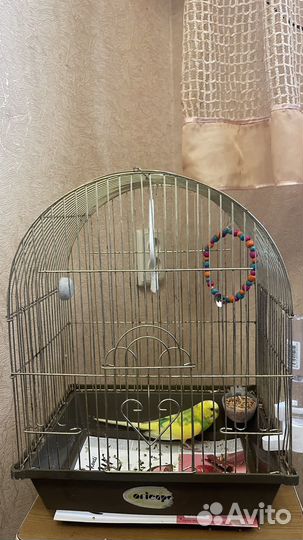 Клетка для волнистого попугая маленькая