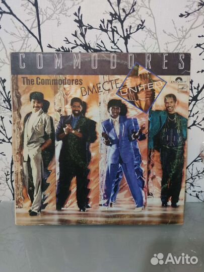 Commondores винил
