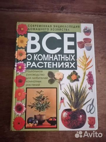 Всё о комнатных растениях
