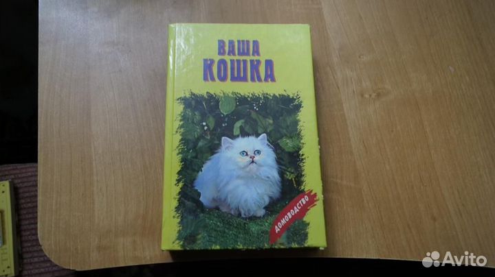 7168 ваша кошка 1999 год