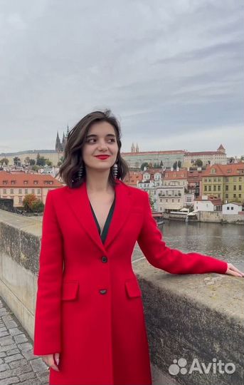 Переводчик английского, персидского языков