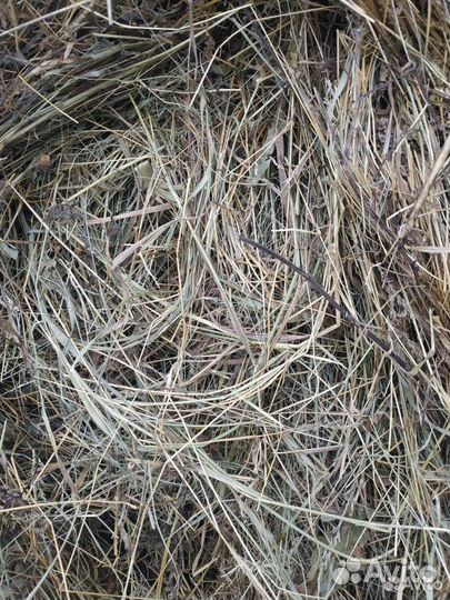 Сено в рулонах