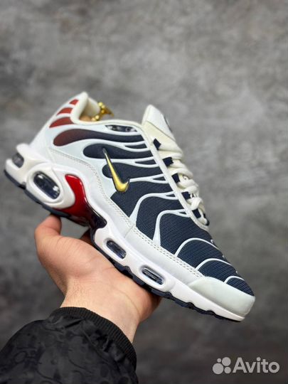 Кроссовки nike air max tn