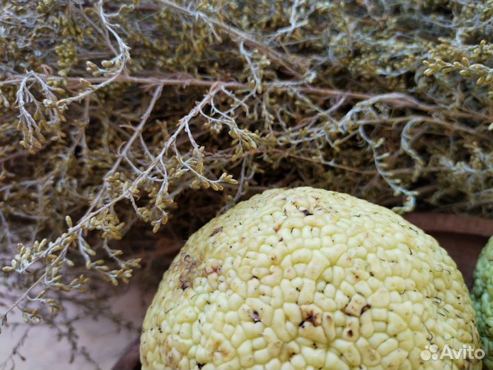 Мазь при радикулите