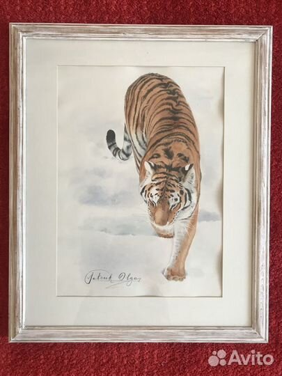 Тигр акварель