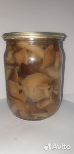 Грибы опята маринованные