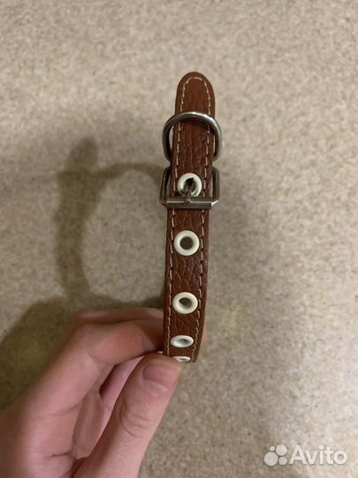 Ошейник для собак из натуральной кожи