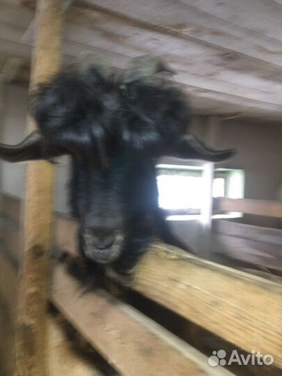 Вязка продажа