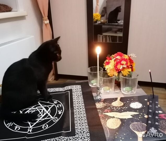 Гадание на картах Таро