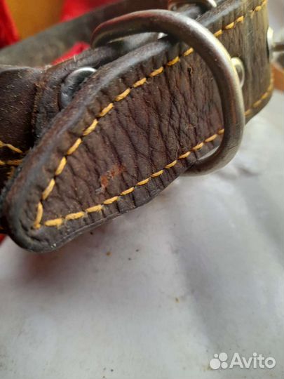 Ошейник кожаный для крупных собак