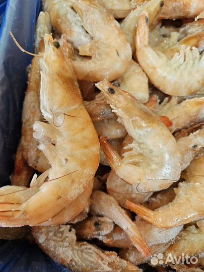 Креветки ваннамей 20/30 в/м