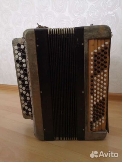 Аккордеон Solo